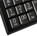 KLIPX TECLADO NUMERICO (KNP-100)