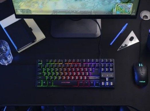 TRUST TECLADO&RATON USB GXT794 (25227)