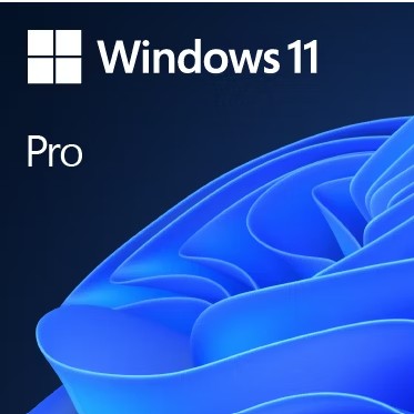 MS WINDOWS 11 PRO 32/64-bit (FQC-10572)